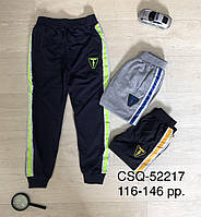 Спортивные штаны для мальчика оптом, Seagull, 116-146 см, № CSQ-52217