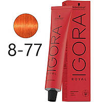 Крем-краска для волос Schwarzkopf Igora Royal 8-77 Светло-Русый Медный Экстра 60 мл