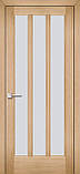 Двері міжкімнатні Шпон Модель1, ПОО Полотно 600х700х800х900х2000 мм, фото 9