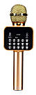 Мікрофон Wireless "K316" Gold
