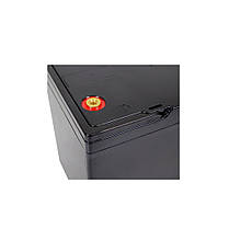 LogicPower LiFePO4 12V - 100 Ah (Smart BMS 60A/30А), фото 5
