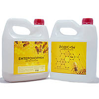 Энтеронормин с Йодис + Se (400 г + 2 л) на 100 пчелосемей