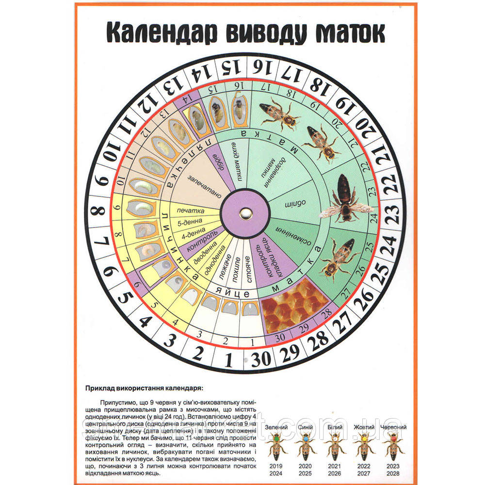 Календар виведення маток