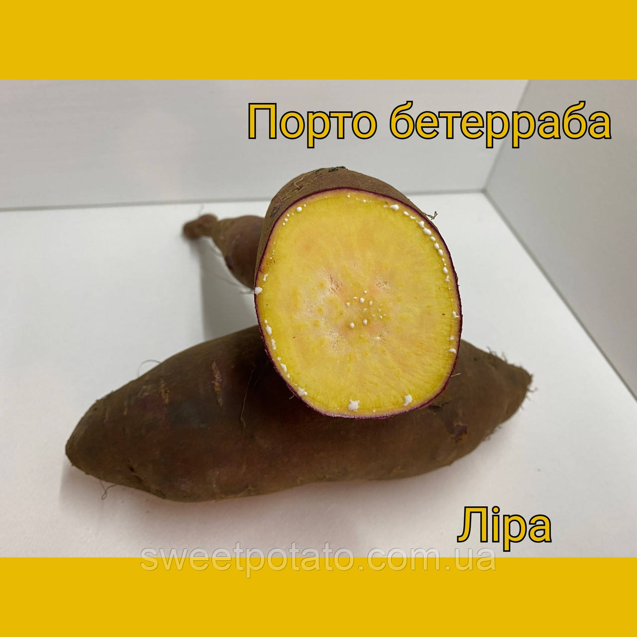 Батат із  жовтою м'якотю розміром менше середнього сорт Ліра