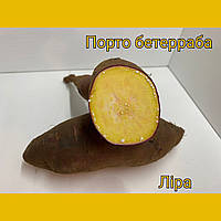 Батат із жовтою м'якотю сорт Ліра розміром менше середнього