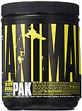 Вітаміни (Animal Pak Powder) з різними смаками, фото 4