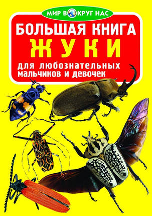 БАО Велика книга. Жуки, фото 2