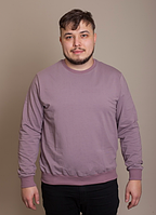 Однотонний світшот GBI чоловічий (двохнитка) Коричневий на зріст M (12718)