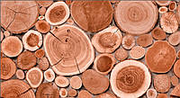 Шпалери паперові вологостійкі під дерево Шарм Слайс 146-10