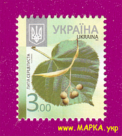 Поштові марки України 2012 марка 8-й стандарт Липа серцелиста (3,00)