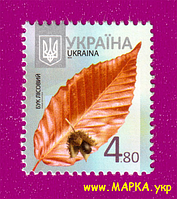 Поштові марки України 2012 марка 8-й стандарт Бук лісовий (4,80)