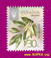 Поштові марки України 2012 марка 8-й стандарт Ясен звичайний (0,30)