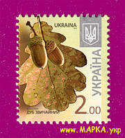 Поштові марки України 2012 марка 8-й стандарт Дуб звичайний (2,00)