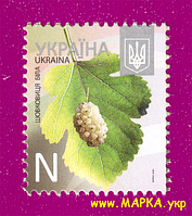 Почтовые марки Украины 2013 N1270 марка 8-ой Стандарт ЛИТЕРА N Шелковица белая Флора