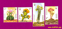 Почтовые марки Украины 2014 N1379-1382 марки Кактусы флора СЕРИЯ