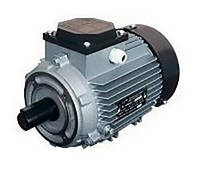 Электродвигатель трехфазный АИР 63 А4 0,25кВт/1500об/мин 220/380В малый фланец