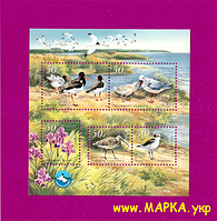 Почтовые марки Украины 2002 N455-459 (b34) блок Фауна Черноморский заповедник
