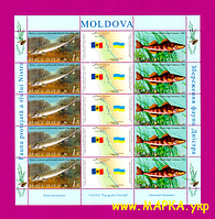 Почтовые марки Украины 2007 лист Фауна Молдавия-Украина (Молдавский выпуск)