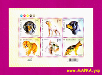 Почтовые марки Украины 2008 N919-924 (b68) блок Собаки Фауна