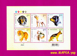 Поштові марки України 2008 блок Собаки