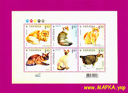 Поштові марки України 2008 блок Коти