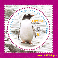 Почтовые марки Украины 2020 N1807 марка 200 лет открытия Антарктиды Пингвин ЛИТЕРА V