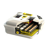 Інкубатор Автоматичний Теплуша Euro 88 ТАВ 12В/50 комбінований корпус