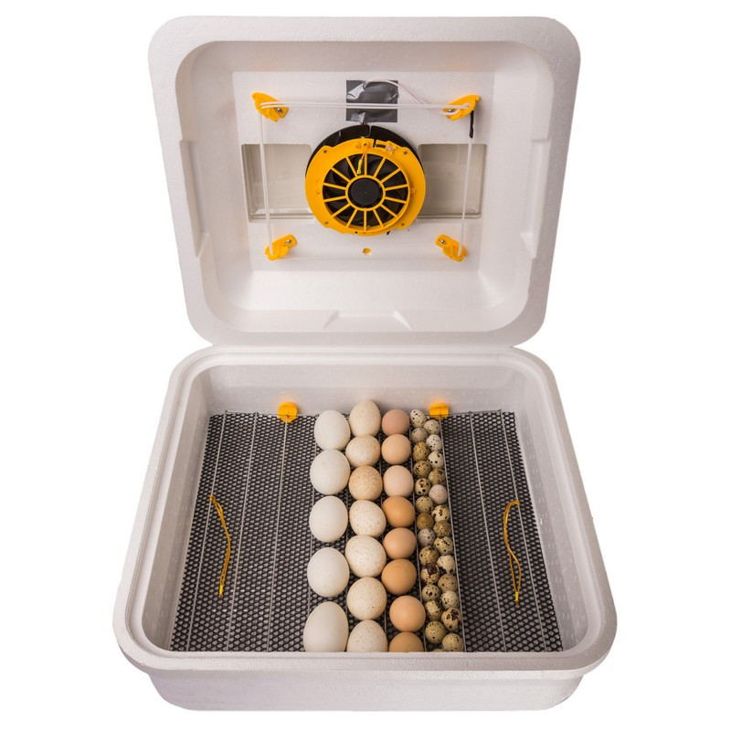 Інкубатор з механічним переворотом Теплуша Greeny 88 ТМВ 12В/50,турбо вентилятор, резервне харчування