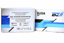 EQUI Chlamydia trachomatis IgA