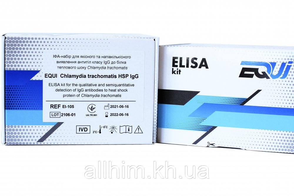 EQUI Chlаmydia trachomatis HSP IgG