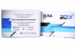 EQUI Mycoplasma hominis IgA