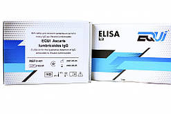 EQUI Ascaris lumbricoides IgG