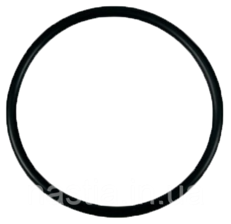 140322500 Гумовий ущільнювач рабочої групи(на нижній поршень, або капучинатор Royal), NBR, OR 2118, фото 1