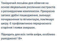 Special Toner - 250 ml Bio Repair Holy Land Специальный тоник