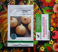 Семена лука Кенди (Кэнди) F1 (Bejo Zaden), 1 грамм сверхранний (80-90 дней), салатный