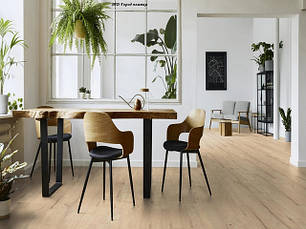 Ламінат Kaindl FLOORganic 8,5 мм 33 клас