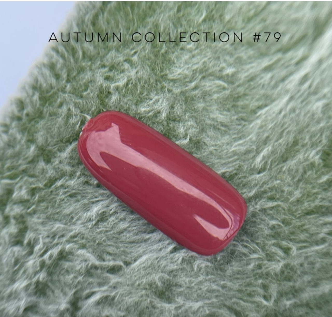 Autumn collection 079 / Осіння колекція 079, фото 1