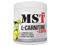 L-Carnitine + Amino MST (300 грамм)