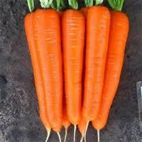 Семена моркови Флаке 20 г Агроном