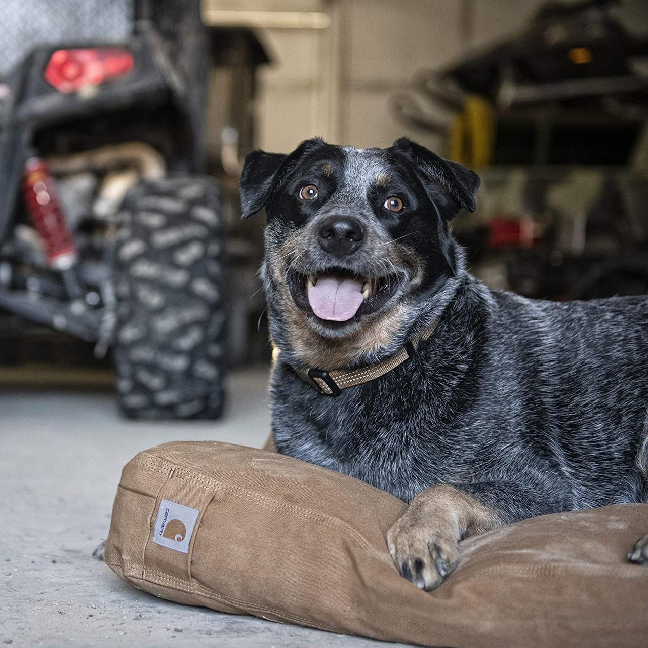 Carhartt duck deals dog bed