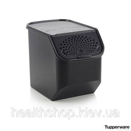 Контейнер Свіжість 5.5 л Tupperware