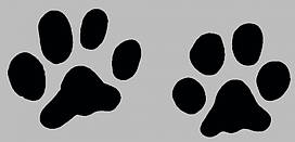 Вінілові наклейки " Лапки 4 шт " 14х15 см