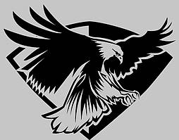 Вінілові наклейки " Орел 2 " 16х20 см