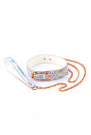 Ошейник с поводком NS Novelties COSMO BONDAGE COLLAR & LEASH RAINBOW