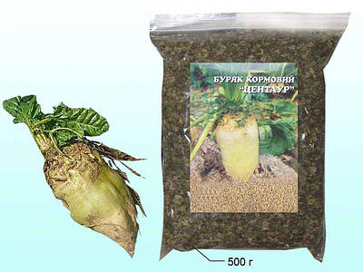 Кормова буряк