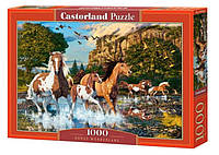 Настольная игра Castorland puzzle Пазл Волшебная страна лошадей, 1000 эл. (C-104789)