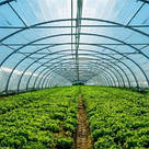 Плівка стабілізована блакитна Shadow 150 мкм 3*6*25 мплинна, фото 5