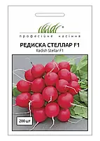 Семена редиски Стеллар F1, 200 шт ранний гибрид, Syngenta, годен до 11.22, УЦЕНКА