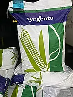 Сингента семена Кукурузы Фортаго Syngenta (ФАО-260)