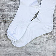 Чоловічі білі високі шкарпетки з бавовни Krokus (спортивна резинка) 39-42, фото 3